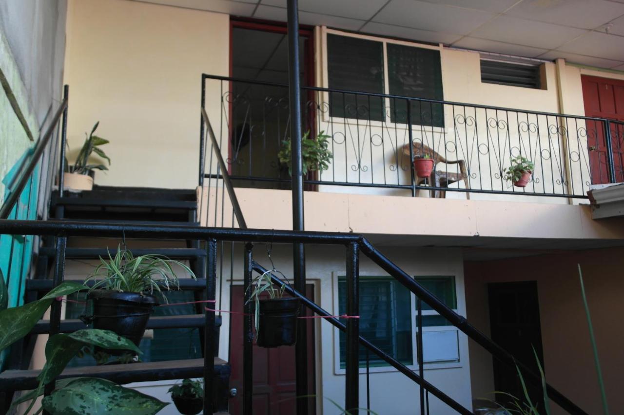 Hostal Nicaragua Guest House ماناجوا المظهر الخارجي الصورة