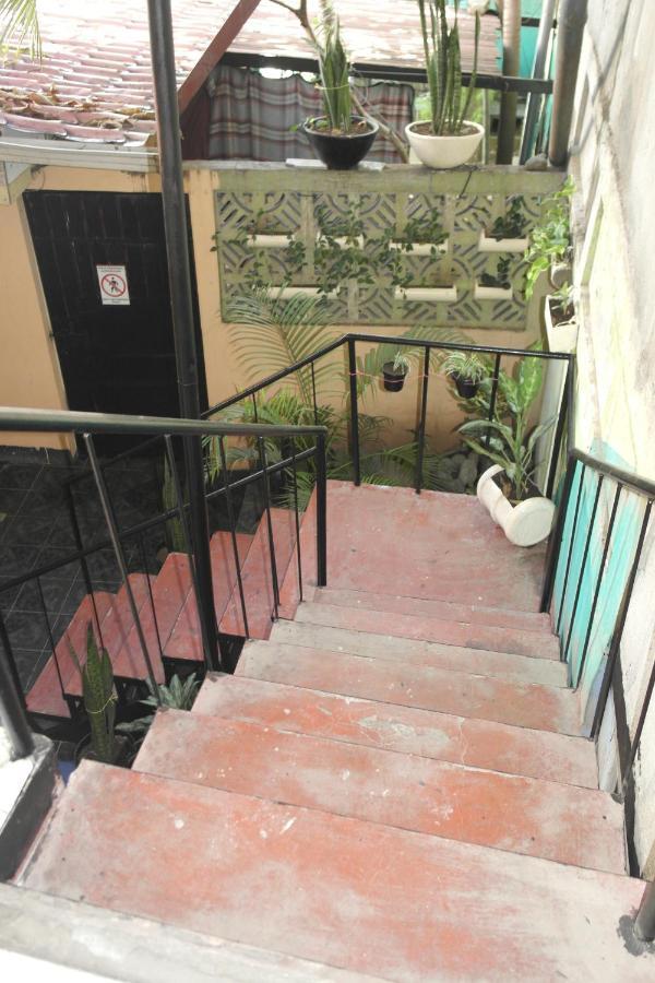 Hostal Nicaragua Guest House ماناجوا المظهر الخارجي الصورة