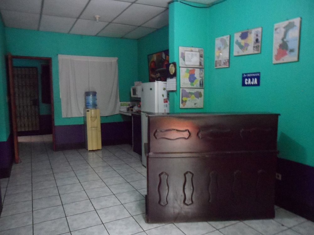 Hostal Nicaragua Guest House ماناجوا المظهر الخارجي الصورة