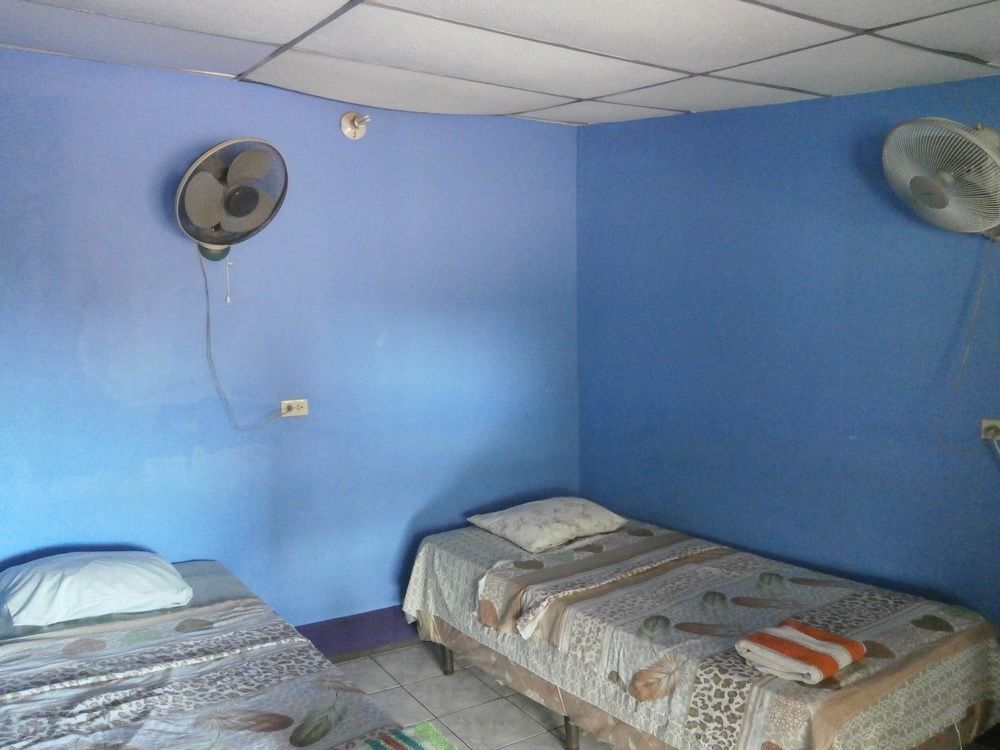 Hostal Nicaragua Guest House ماناجوا المظهر الخارجي الصورة