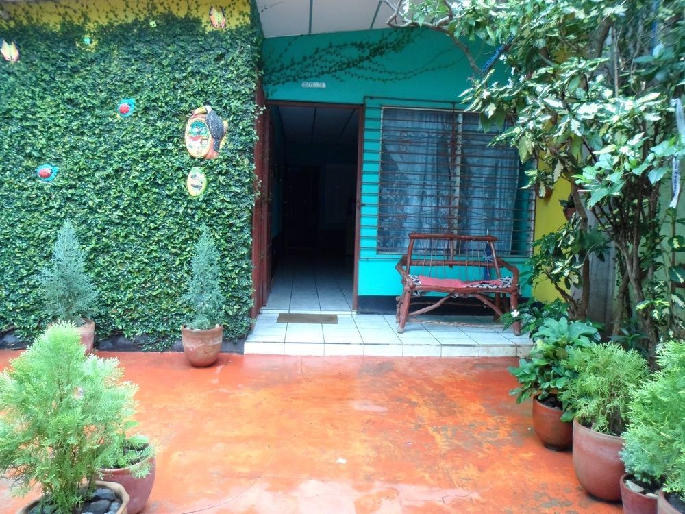 Hostal Nicaragua Guest House ماناجوا المظهر الخارجي الصورة
