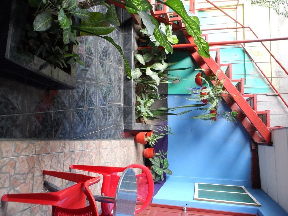 Hostal Nicaragua Guest House ماناجوا المظهر الخارجي الصورة